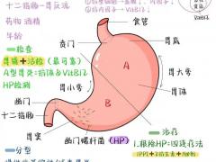 中医康养春季博览会