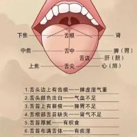 中医舌诊评估