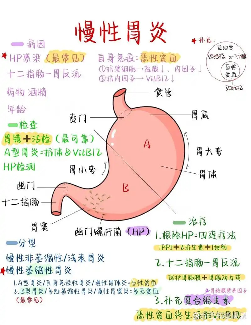 胃肠慢病管理